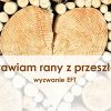Mini warsztaty tematyczne - Uzdrawiam rany z przeszłości